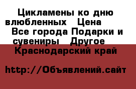 Цикламены ко дню влюбленных › Цена ­ 180 - Все города Подарки и сувениры » Другое   . Краснодарский край